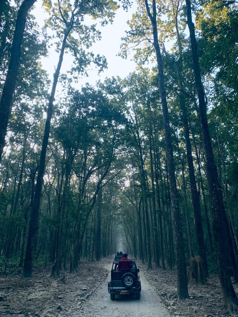 Delhi: 2-Day Jim Corbett Safari Adventure - Inclusions and Extras