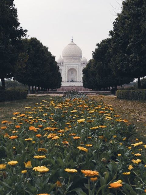 Delhi Agra Gwalior Orchha Khajurao Tour by Car - Key Points