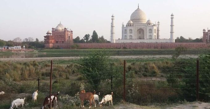 Delhi, Jaipur, Pushkar, Jodhpur,Udaipur,Jhansi,Gwaliour Taj - The Sum Up