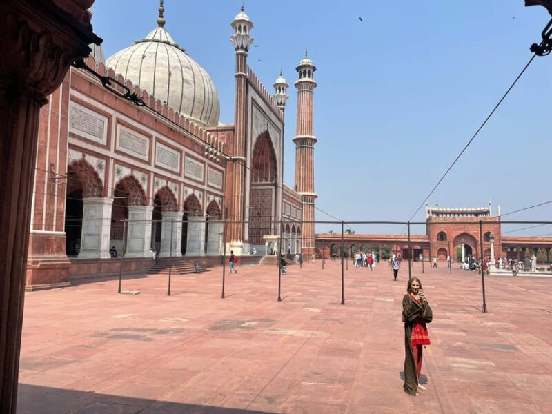 Delhi: Luxurious Private Guided Customize Tour Of Delhi - Booking Process