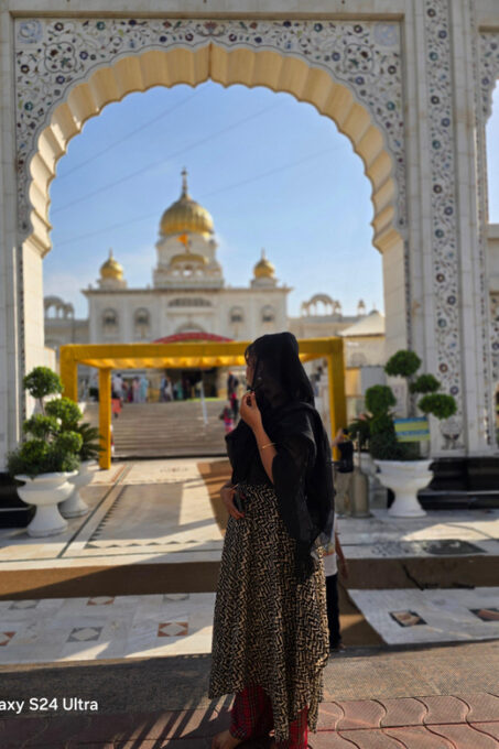 Delhi: Luxurious Private Guided Customize Tour Of Delhi - The Sum Up