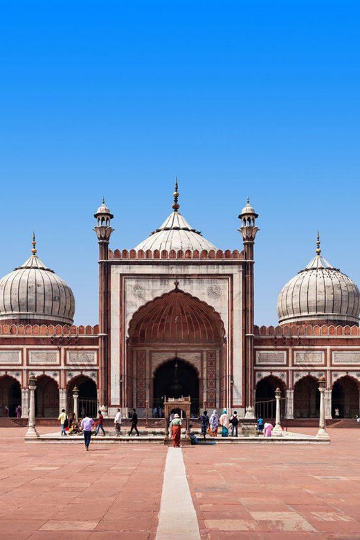 Delhi: Old or New Delhi Full or Half Day Private Tour - Important Information