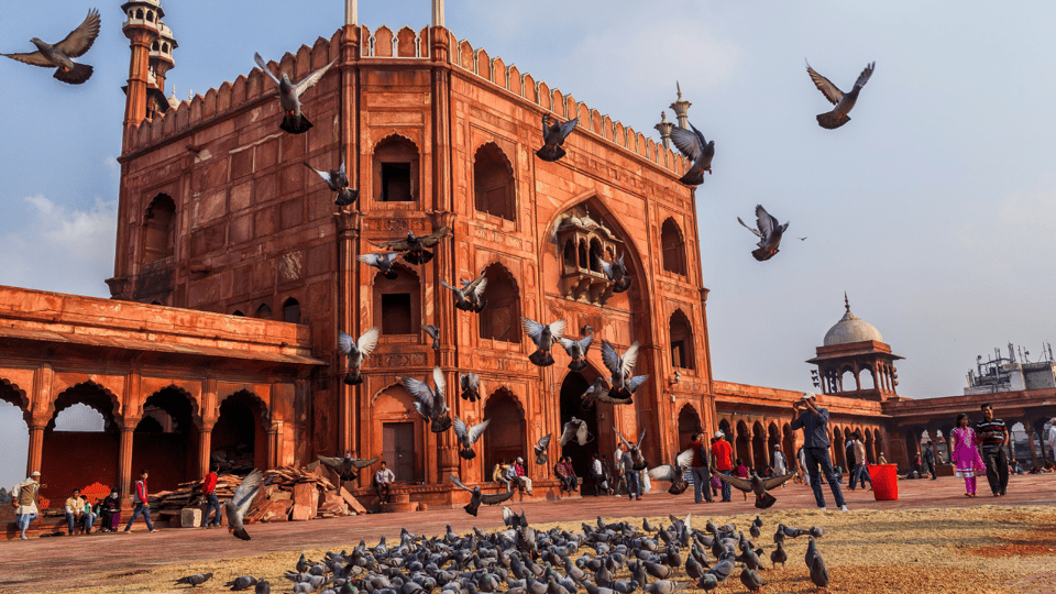 Delhi: Private Old and New Delhi Full or Half-Day Tour - Key Points