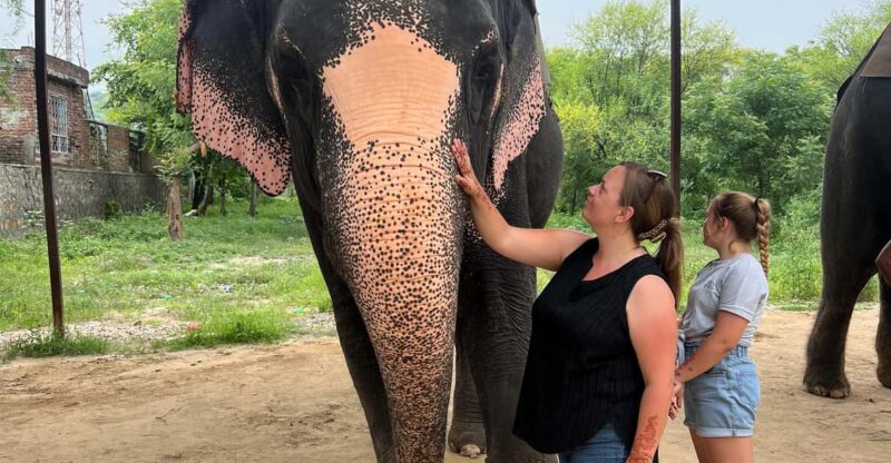 Delhi: Taj Mahal Sunrise With Elephant Conservation Tour - Inclusions and Exclusions