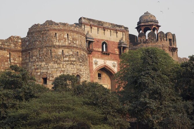 Delhi Zoo White Tigers & Lions With Old Fort Visit - Good To Know