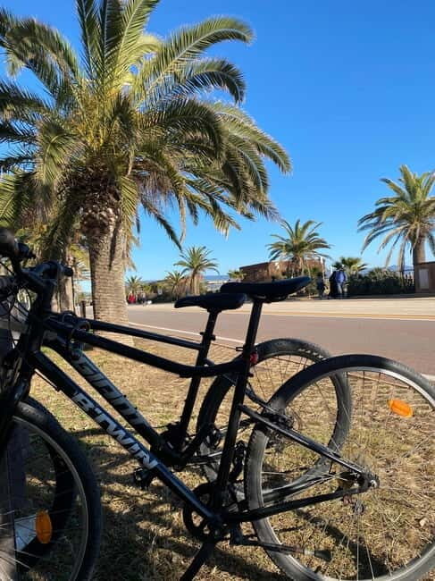 Delivery bike for 6hours Castello/Molentargius/Poetto/Quartu - Why Choose This Bike Rental Experience?