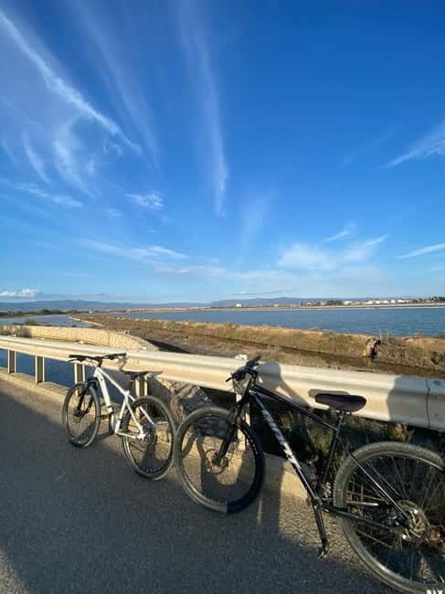 Delivery bike for 6hours Castello/Molentargius/Poetto/Quartu - Authentic Experiences and Tips for Enjoying Your Ride