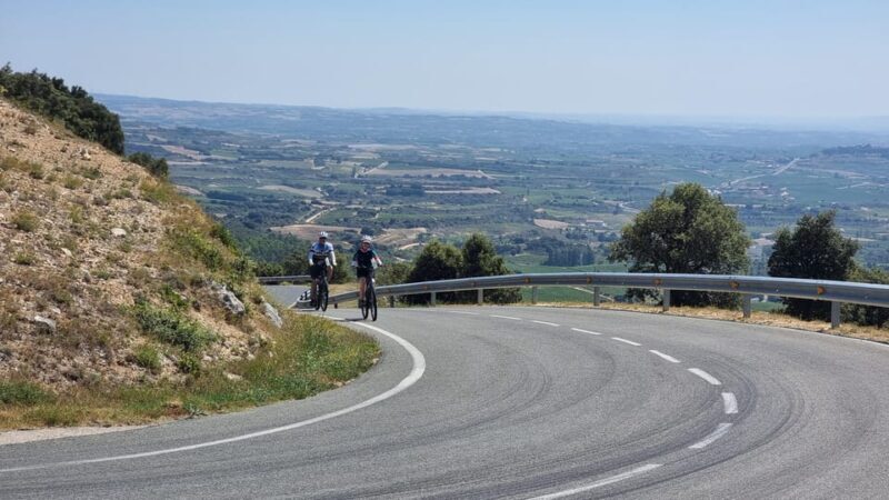 Delivery Bike Rental and Guided Tours in La Rioja - Whats Included and What You Should Budget For