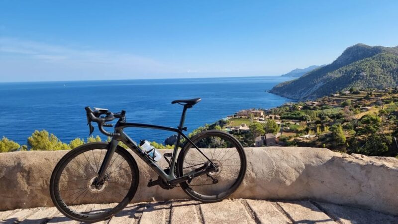 Delivery Bike Rental and Guided Tours in La Rioja - Authentic Experiences and Real Feedback