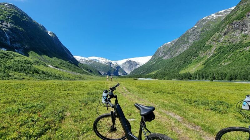 Delivery Bike Rental and Guided Tours in La Rioja - Why This Experience Is Worth Considering