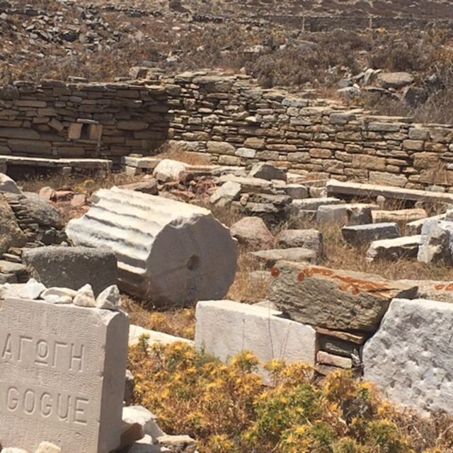 Delos Synagogue: Jewish Heritage Private Tour From Mykonos - Itinerary Details