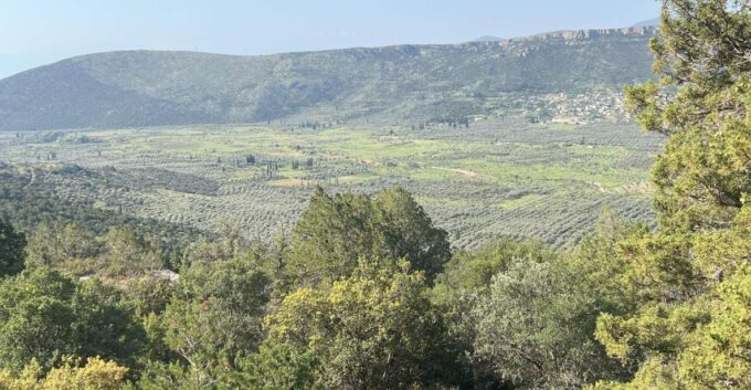 Delphi: Easy Hike From the Monastery to the Mycenaean Tomb - Local Myths and Olive Farming Secrets