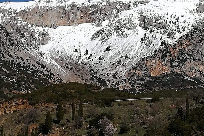 Delphi Full Day Private Tour: Temple of Apollo, Museum, Navel of Earth & Oracle - Accessibility and Participation