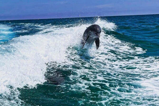 Deluxe 115HP Pontoon Rental - FAQ