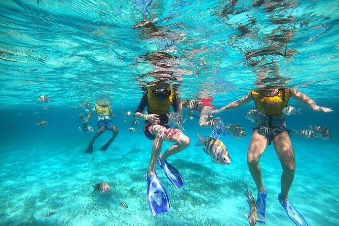 Deluxe Catamaran to Isla Mujeres with Open Bar from Cancun - Who Will Love This Tour?