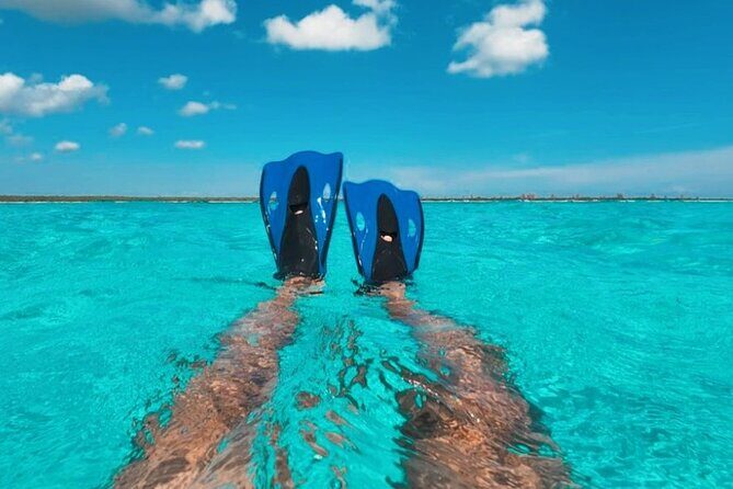 Deluxe Catamaran Tour to Isla Mujeres, Drinks, Snorkeling, Buffet - Who Should Consider This Tour?