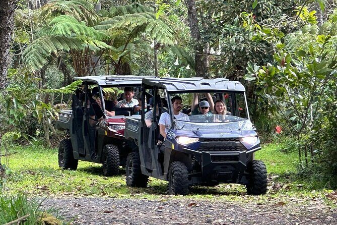 Deluxe Coffee Culture Tour from Berry to Brew in 60 Minutes - Introduction