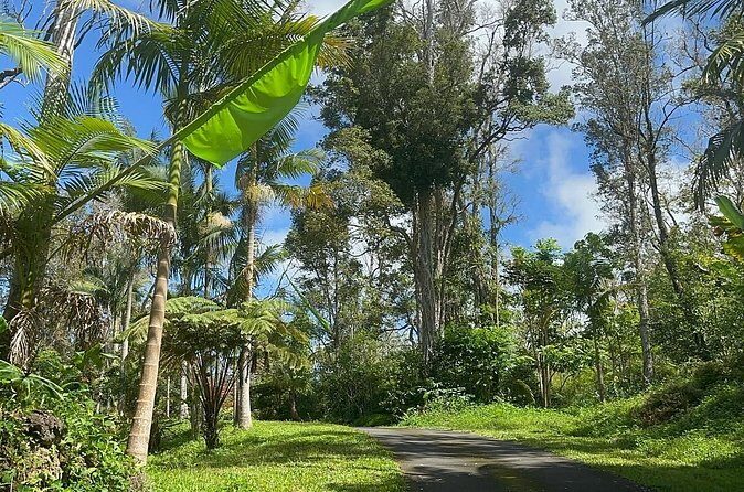 Deluxe Coffee Culture Tour from Berry to Brew in 60 Minutes - Who Should Consider This Tour?