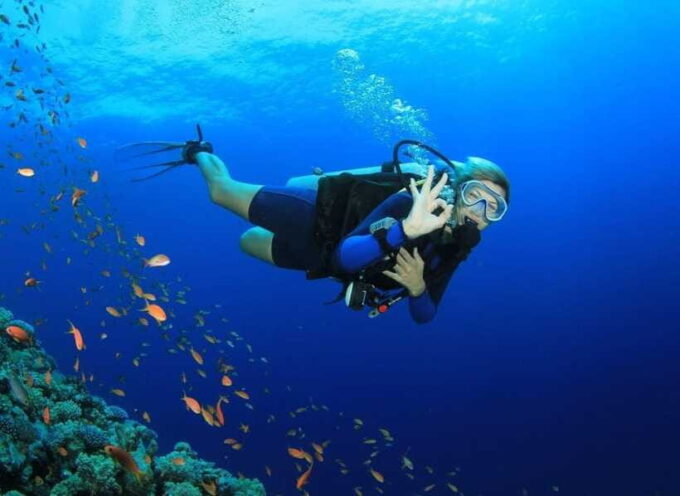 Deluxe Daily Tour-Snorkeling & BBQ & Mud Bath From Nha Trang - Inclusions of the Tour Package