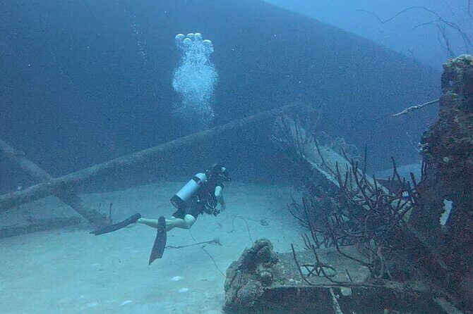 Deluxe Half Day Private Charter Adventure in Bonaire - FAQs