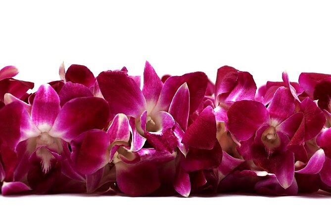 Deluxe Orchid Lei Greeting (Maui, Kahului Airport, OGG) - Good To Know