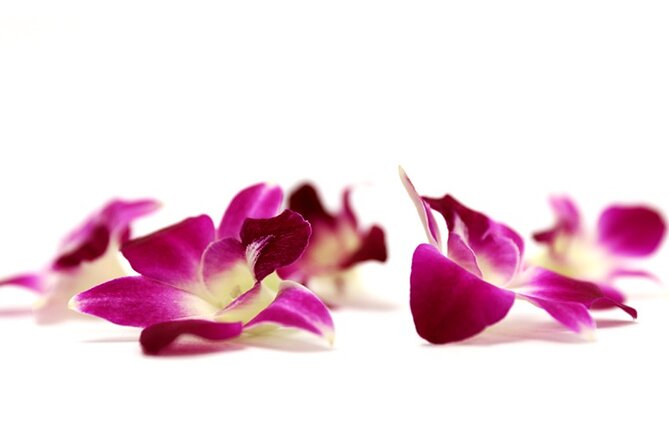 Deluxe Orchid Lei Greeting (Maui, Kahului Airport, OGG) - Customer Reviews