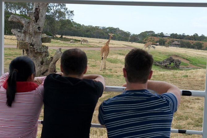 Deluxe Safari Adventure at Werribee Open Range Zoo - excl. entry - FAQ
