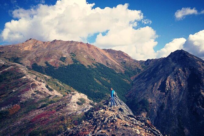 Denali 4 Hour Hiking Adventure with Naturalist Guide - A Detailed Look at the Denali Hiking Adventure