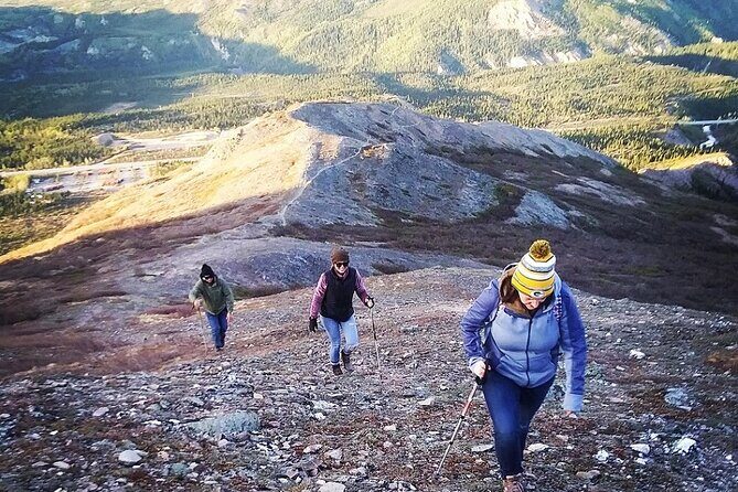 Denali 4 Hour Hiking Adventure with Naturalist Guide - The Sum Up