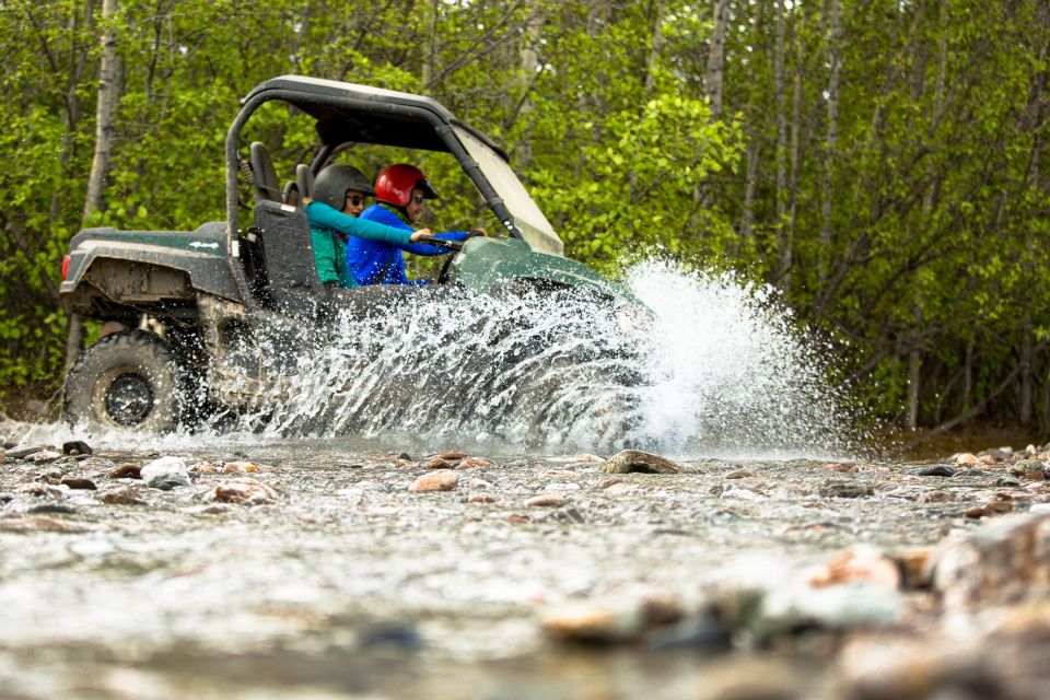 Denali: ATV Trailblazer Tour - Experience Description