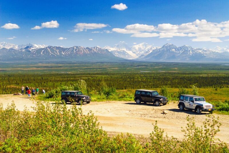 Denali Highway Jeep Excursion - The Sum Up: A Solid Choice for Authentic Wilderness Exploration