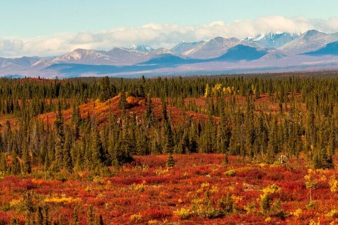Denali Highway Overnight Excursion - Practical Details & Recommendations