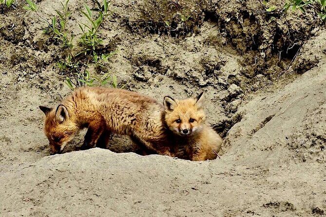 Denali Highway Overnight Excursion - Final Thoughts: Who Is This Tour For?