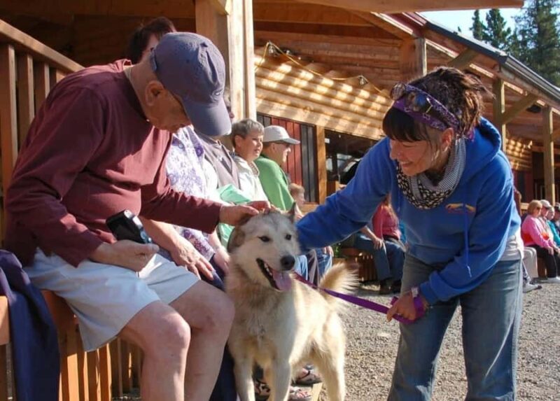 Denali: Husky Homestead Tour - Final Words: Who Will Love This Experience?