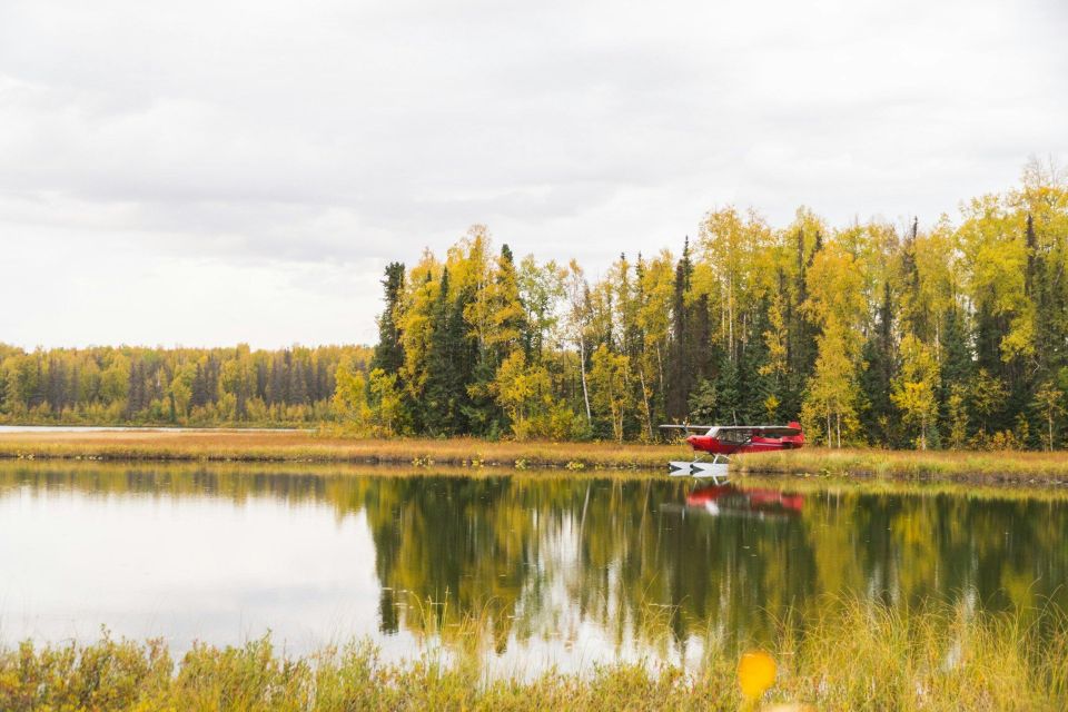 Denali: National Park Guided Tour With Healy Visit - Denali National Park Visitor Center