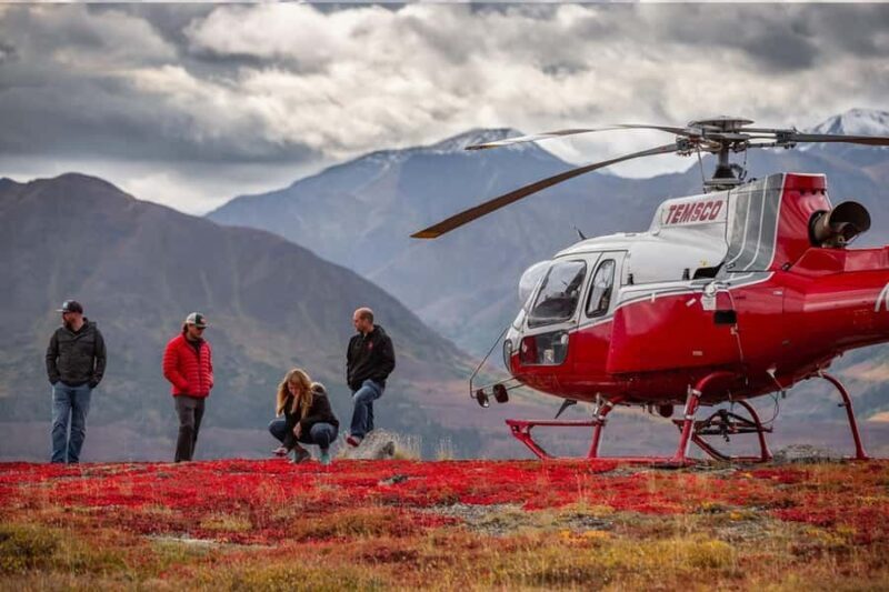 Denali National Park: Helicopter Ride over the Alaska Range - Authentic Traveler Perspectives