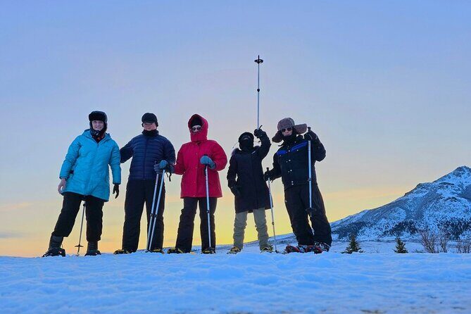 Denali National Park plus Aurora Chase Tour - Who Will Love This Tour?