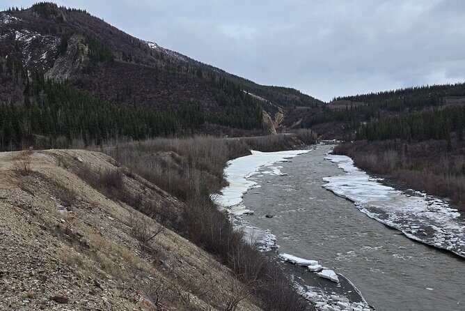 Denali National Park Shuttle - The Experience: What to Expect from the Shuttle Service