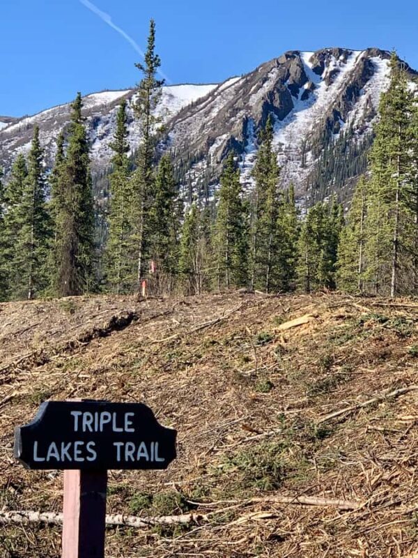 Denali National Park: Triple Lakes Trail Guided Hike - Key Points