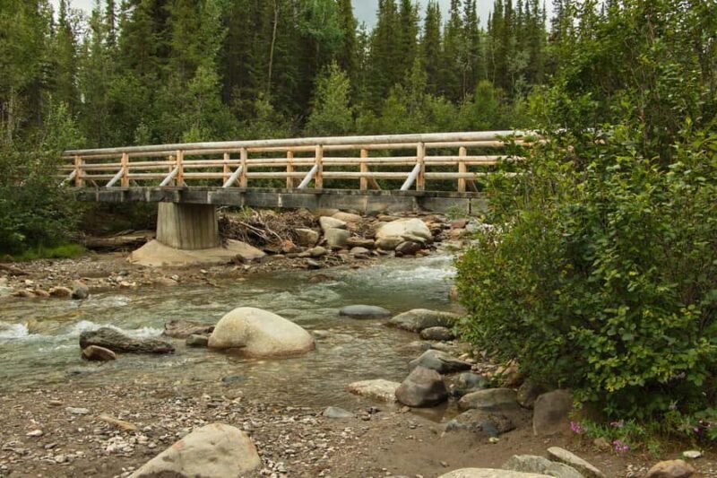 Denali National Park: Triple Lakes Trail Guided Hike - FAQ