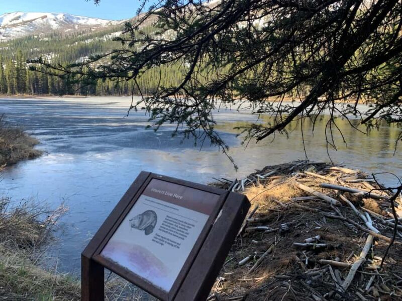 Denali National Park: Triple Lakes Trail Guided Hike - Final Verdict