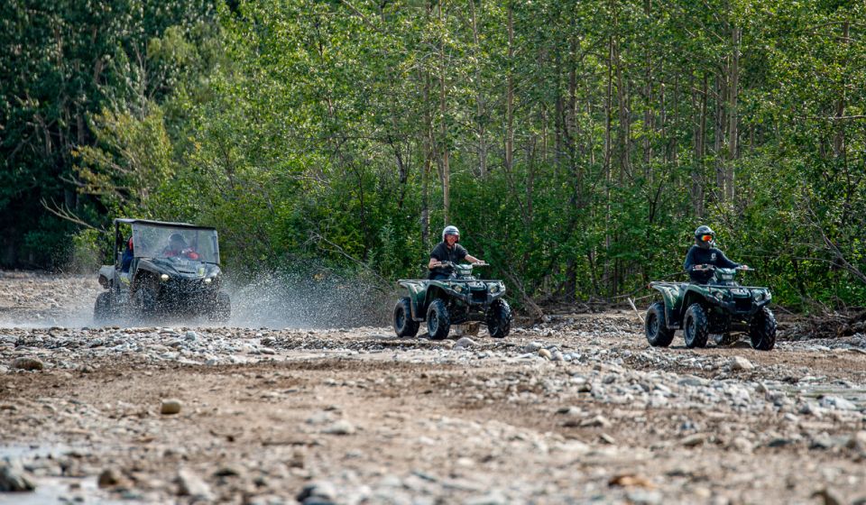 Denali National Park: Wilderness ATV Adventure - Customer Reviews