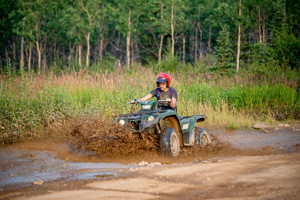Denali National Park: Wilderness ATV Adventure - Tour Experience