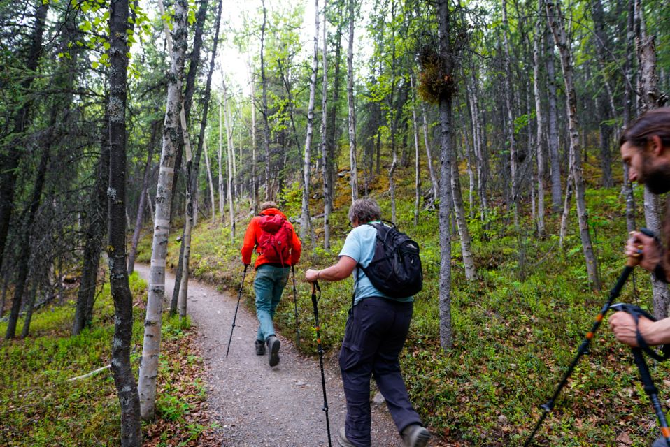 Denali: Naturalist Walking Tour in Denali National Park - Inclusion Details