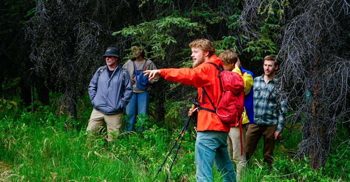 Denali: Naturalist Walking Tour in Denali National Park - Highlight Attractions