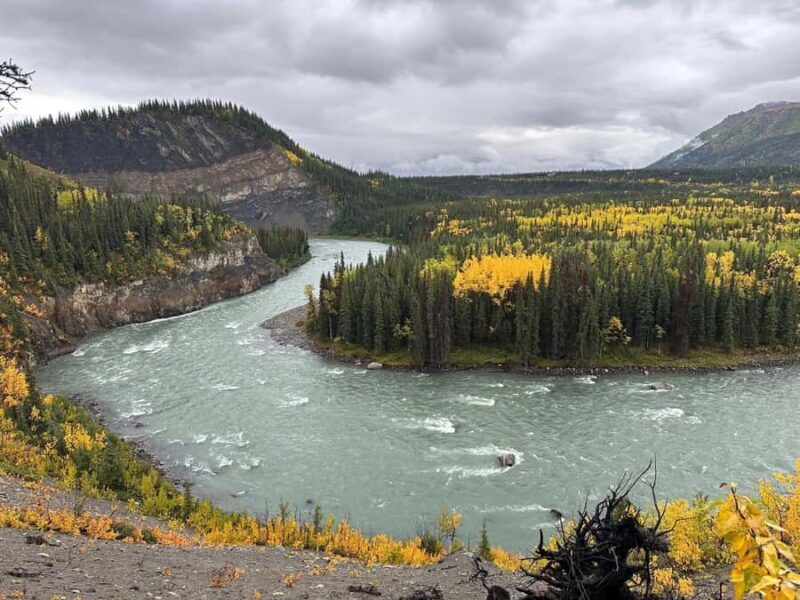 Denali: Nenana River Trail Guided Hike with Pickup - The Itinerary: What to Expect on This Guided Hike
