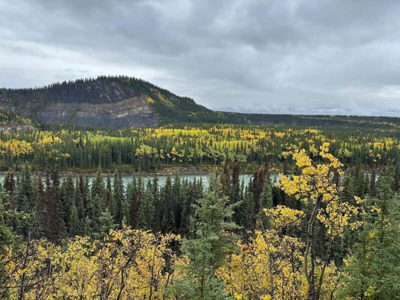 Denali: Nenana River Trail Guided Hike with Pickup - A Deep Dive into the Experience