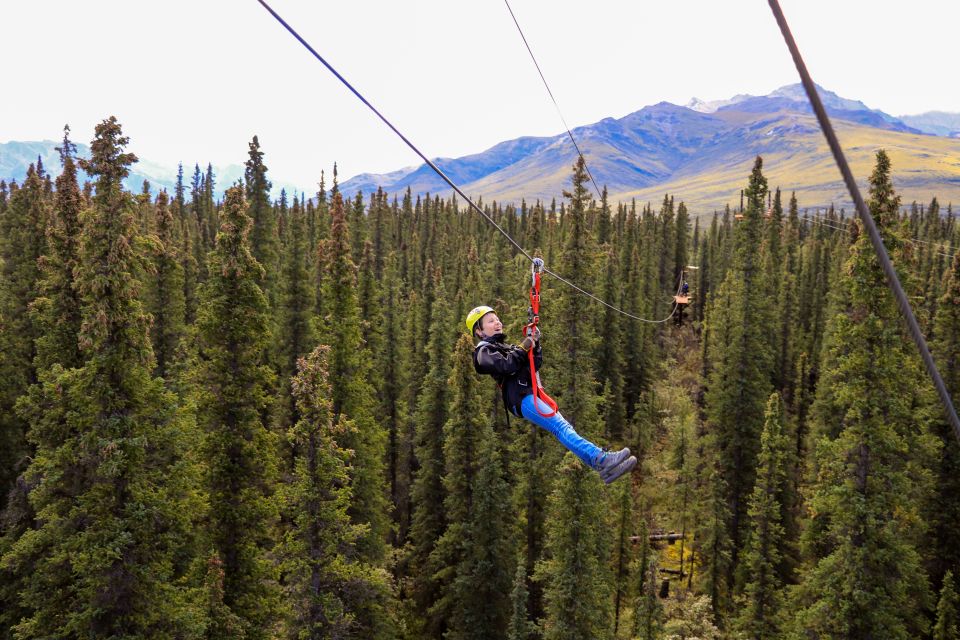 Denali Park Zipline Adventure - Key Points