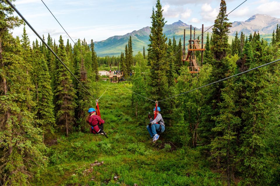 Denali Park Zipline Adventure - Booking Information