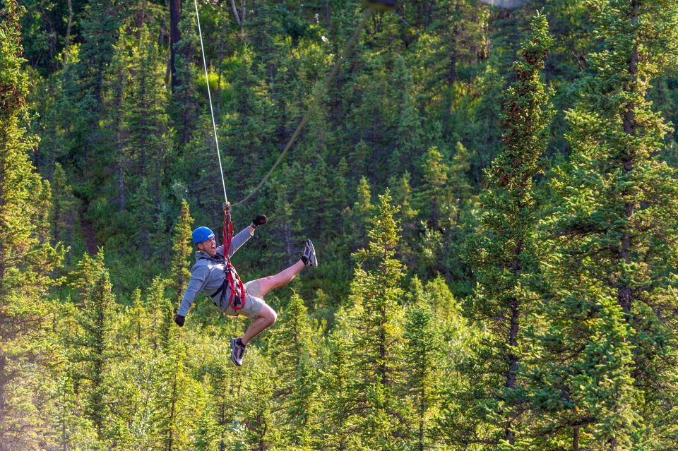 Denali Park Zipline Adventure - Explore the Alaskan Wilderness